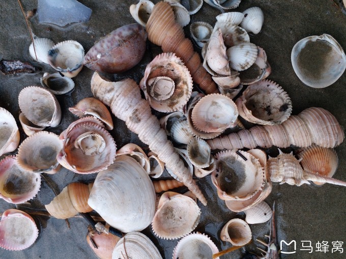 ICCVTT泰国支教 by ZHOU YANPING (Annie) 2018@Kruewaiwittayakom (Chanthaburi Province)