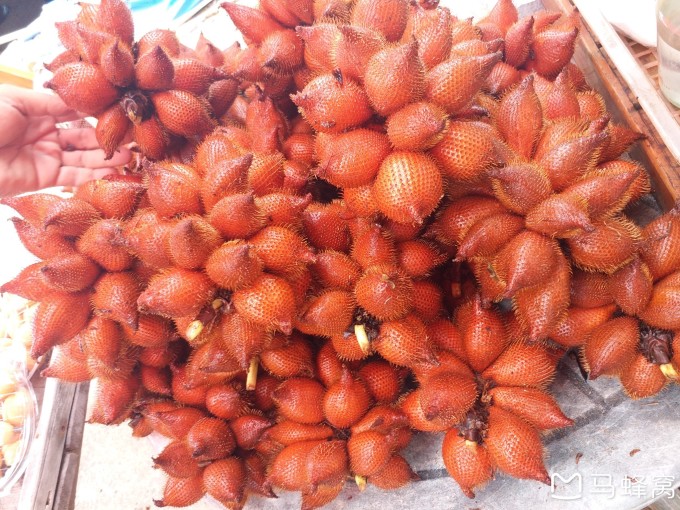 ICCVTT泰国支教 by ZHOU YANPING (Annie) 2018@Kruewaiwittayakom (Chanthaburi Province)