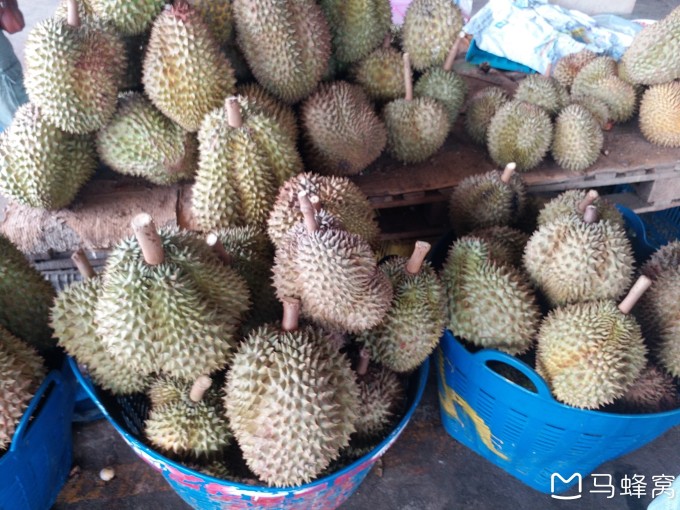 ICCVTT泰国支教 by ZHOU YANPING (Annie) 2018@Kruewaiwittayakom (Chanthaburi Province)