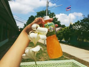 Chelsea’s first week at Banneansa-ad .Sakeao 2018