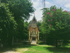 Chelsea’s first week at Banneansa-ad .Sakeao 2018