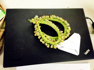 Xiangjun Sun,China 2012