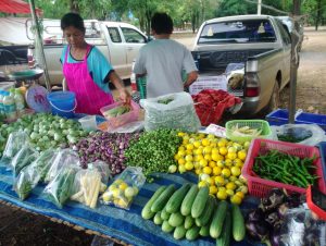 《在泰国认识你 Kanchanaburi(北碧府)》  Volunteer Experiences at Bansamyod School, Thailand Author: Yunhe Sun 孙云鹤