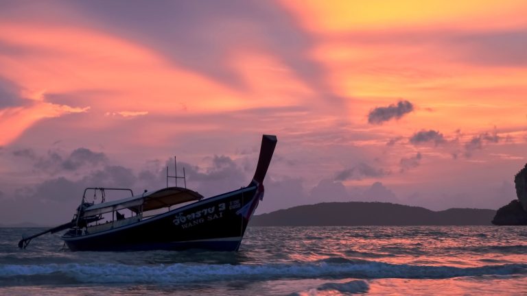 二十岁到来之前有点不一样吧 THE WODDEN HOUSE BY CHERRY, 2016