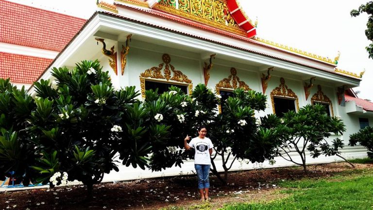 21岁的夏天 Raiss in wonderland, by Raiss, in 2016