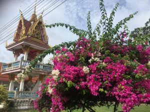 21岁的夏天 Raiss in wonderland, by Raiss, in 2016