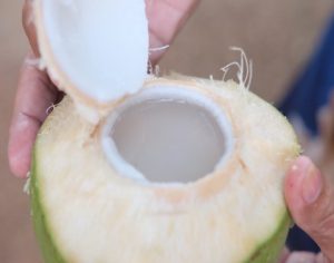 有一个地方 只有我们知道 Somewhere Only We Know by 王婷/Wang Ting at ICCVTT