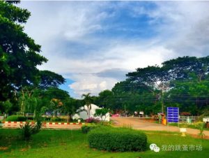 我的跳蚤市场 陈木兰