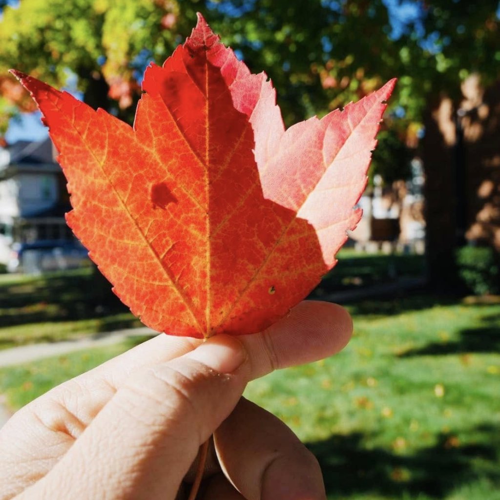 Beyond the Horizon: A Journey to New Beginnings